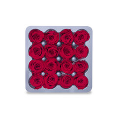 Розы Princess 16 шт., цвет красный цена и информация | Спящие стабилизированные розы, растения | hansapost.ee