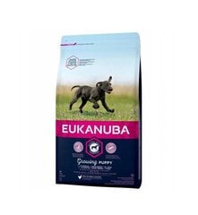 Eukanuba сухой корм для щенков крупных пород  до 12 месяцев, со свежей курицей, 15 кг цена и информация | Сухой корм для собак | hansapost.ee