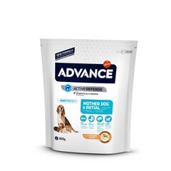 Advance Mother Dog &amp; Initial 0,8 kg - Полноценный и сбалансированный корм для щенков всех пород , а также беременных и кормящих сук цена и информация | Сухой корм для собак | hansapost.ee