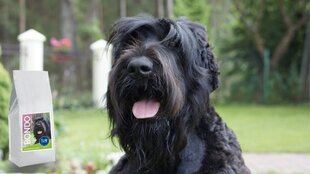 Gurmee kuivtoit kalkuniga suurt tõugu koertele Bondo mėgstamiausias, 6 kg цена и информация | Сухой корм для собак | hansapost.ee