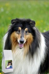 Gurmee kuivtoit väikest tõugu koertele, kanaliha ja riisiga Maikio mėgstamiausias, 6 kg цена и информация | Сухой корм для собак | hansapost.ee