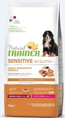 Natural Trainer Sensitive No Gluten для молодых щенков средних и крупных пород с лососем 12kg цена и информация | Сухой корм для собак | hansapost.ee