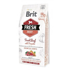 Brit Fresh suurt tõugu koerakutsikatele veiseliha ja kõrvitsaga, 12 kg цена и информация | Сухой корм для собак | hansapost.ee
