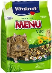 VITAKRAFT Premium Menu корм, 0,6 кг цена и информация | Корм для грызунов | hansapost.ee