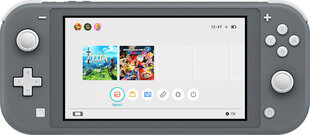 Nintendo Switch Lite, 32 ГБ цена и информация | Игровые пульты | hansapost.ee