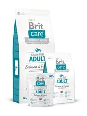 Brit Care для всех пород взрослых собак, 12 кг цена и информация | Сухой корм для собак | hansapost.ee