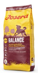 Josera с сбалансированным жировым и белковым балансом, 15 кг цена и информация | Сухой корм для собак | hansapost.ee