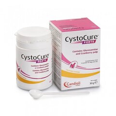 CystoCure FORTE 30г порошок цена и информация | Витамины, добавки и средства от паразитов для кошек | hansapost.ee
