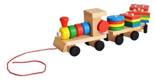 Puidust rong-sorteerija koos klotsidega hind ja info | Arendavad laste mänguasjad üle 3.a | hansapost.ee