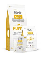 Сухой корм для щенков средних и крупных пород Brit Care Puppy All Breed Lamb & Rice, 1 кг цена и информация | Сухой корм для собак | hansapost.ee