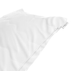 AmeliaHome подушка Reve, 70x80 см цена и информация | Подушечки | hansapost.ee