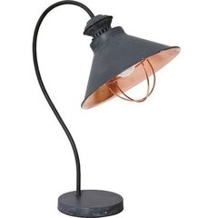 Nowodvorski Lighting настольный светильник Loft 5055 цена и информация | Настольные светильники | hansapost.ee