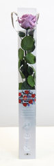 Dekoratiivne roos Amorosa Standard Lilac цена и информация | Спящие стабилизированные розы, растения | hansapost.ee