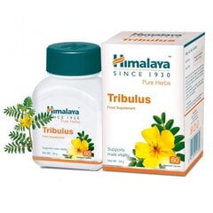 Пищевая добавка для мужчин «Tribulus» (Gokshura) Himalaya, 60 капсул., MP-820/20 цена и информация | Витамины и добавки для хорошего самочувствия | hansapost.ee