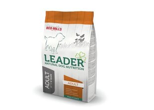 LEADER полноценный корм для собак средних пород, курица, 12 кг цена и информация | Сухой корм для собак | hansapost.ee