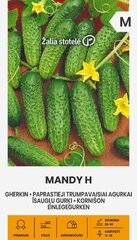 Огурцы MANDY H цена и информация | Семена овощей, ягод | hansapost.ee