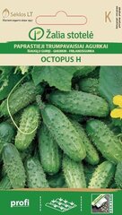 Короткие огурцы OCTOPUS H цена и информация | Семена овощей, ягод | hansapost.ee
