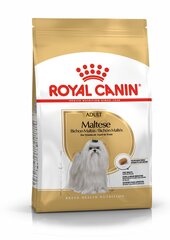 Royal Canin взрослый мальтийский бизон Maltese Adult, 1,5kg цена и информация | Сухой корм для собак | hansapost.ee