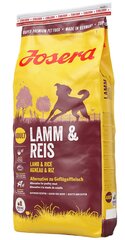 Josera для собак разной активности Lamb&Rice, 15 кг цена и информация | Сухой корм для собак | hansapost.ee