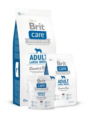 Brit Care Adult для крупных пород собак,12 кг цена и информация | Сухой корм для собак | hansapost.ee