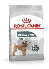 Royal Canin собаки с проблемами зубов Mini Dental Care, 8kg цена и информация | Сухой корм для собак | hansapost.ee