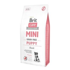 Сухой корм Brit Care Mini Puppy Lamb для щенков мелких пород и их матерей, 2 кг цена и информация | Сухой корм для собак | hansapost.ee