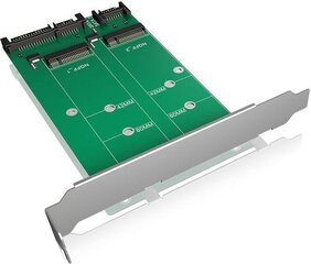 Icy Box Converter 2x SATA - 2x M.2 SATA (IB-CVB512-S) цена и информация | Аксессуары для компонентов | hansapost.ee