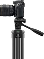 Promate Precise-150 цена и информация | Штативы для фотоаппаратов | hansapost.ee