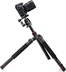 Promate Presice-155 цена и информация | Штативы для фотоаппаратов | hansapost.ee