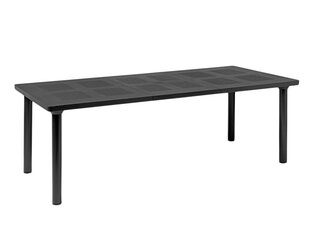 Раскладной стол Nardi Libeccio 100 x 160/220, серый цена и информация | Садовые столы, столики | hansapost.ee