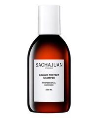 Juuksevärvi šampoon Sachajuan Color Protect 250 ml цена и информация | Шампунь | hansapost.ee