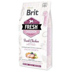 Brit Fresh корм с курицей и картофелем для щенков, 2,5 кг цена и информация | Сухой корм для собак | hansapost.ee
