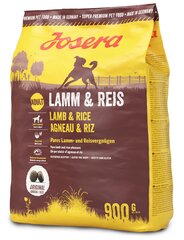 Josera для собак различной активности Lamb & Rice, 900 г цена и информация | Сухой корм для собак | hansapost.ee