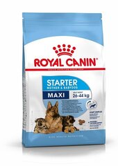 Royal Canin кормящим собакам или щенкам во время отъема Maxi Starter Mother & Babydog, 15 кг цена и информация | Сухой корм для собак | hansapost.ee