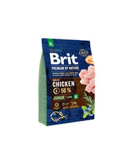 BRIT Premium By Nature Junior Extra Large XL 3 кг цена и информация | Сухой корм для собак | hansapost.ee