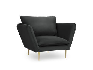 Кресло Mazzini Sofas Verveine, темно-серое цена и информация | Кресла | hansapost.ee