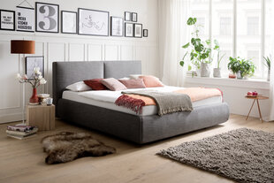 Кровать Meise Atesio, 180x200 см, серая цена и информация | Кровать БОНО, белая | hansapost.ee