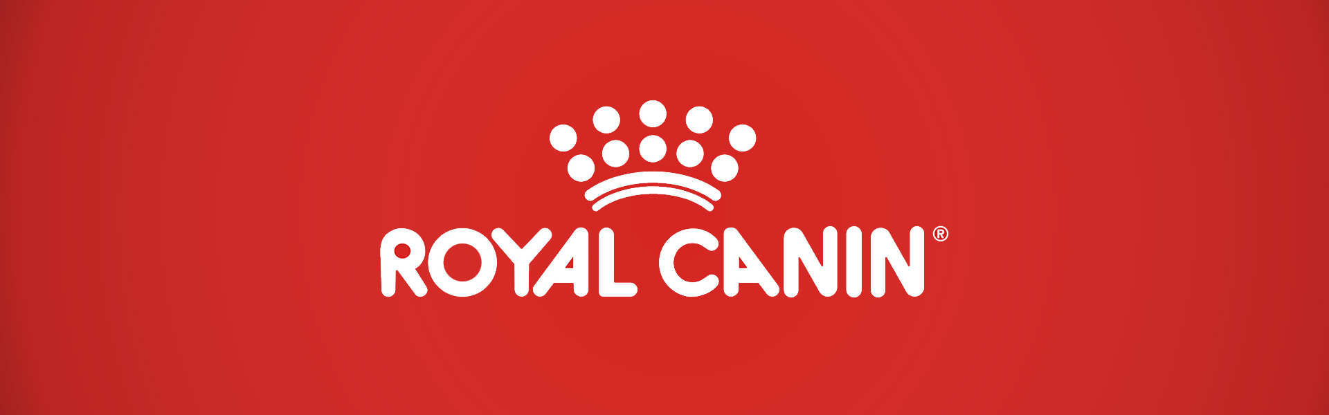 Royal Canin Mini Adult для собак мелких пород, 4 кг 